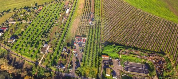 9 Schlafzimmer Haus in Golega, Portugal, Nr. 70696 26