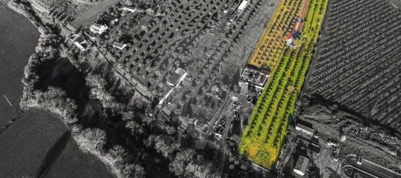 9 Schlafzimmer Haus in Golega, Portugal, Nr. 70696 25