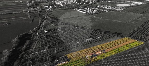 9 Schlafzimmer Haus in Golega, Portugal, Nr. 70696 37