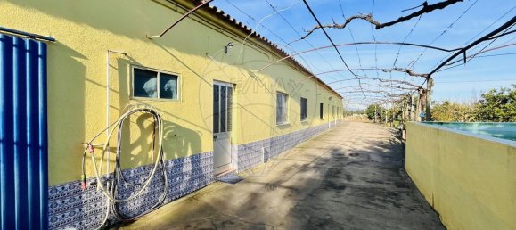 9 Schlafzimmer Haus in Golega, Portugal, Nr. 70696 4