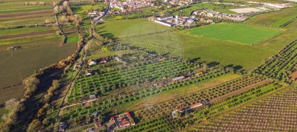 9 Schlafzimmer Haus in Golega, Portugal, Nr. 70696 28