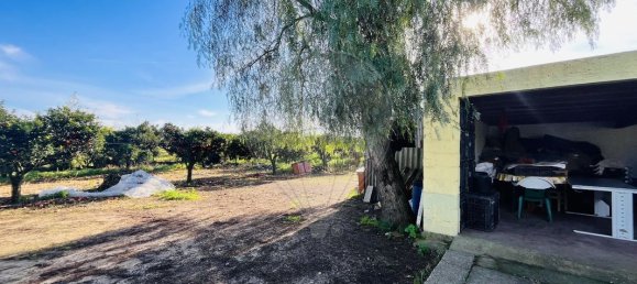 9 Schlafzimmer Haus in Golega, Portugal, Nr. 70696 24