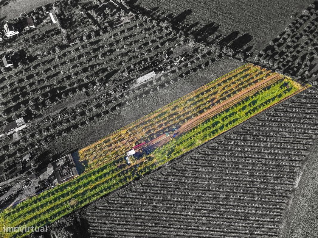 9 Schlafzimmer Haus in Golega, Portugal, Nr. 70696