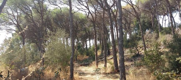 8 chambres Maison à Sant Vicenc De Montalt, Spain No. 71732 20