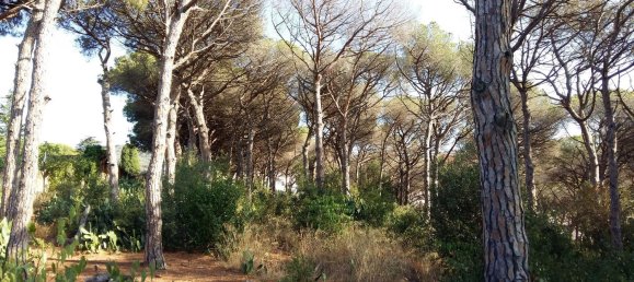 8 chambres Maison à Sant Vicenc De Montalt, Spain No. 71732 16