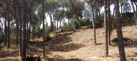 8 chambres Maison à Sant Vicenc De Montalt, Spain No. 71732 22