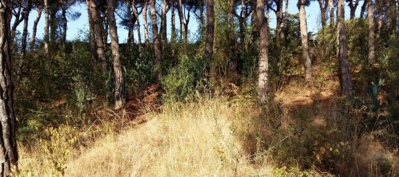 8 chambres Maison à Sant Vicenc De Montalt, Spain No. 71732 18