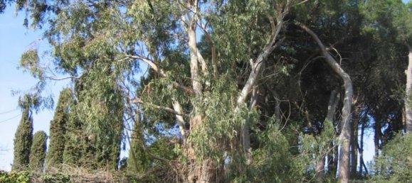 8 chambres Maison à Sant Vicenc De Montalt, Spain No. 71732 28