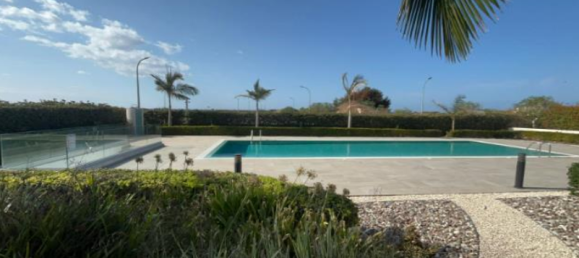 3 Schlafzimmer Gewerbliche Immobilie in Pegeia, Cyprus, Nr. 19797 4