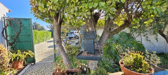 4 bedrooms House in Sao Bras de Alportel, Portugal No. 124955 5