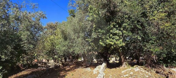 3 غرف نوم منزل في Ansiao, Portugal رقم 186835 22