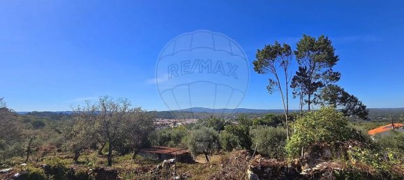 3 غرف نوم منزل في Ansiao, Portugal رقم 186835 28