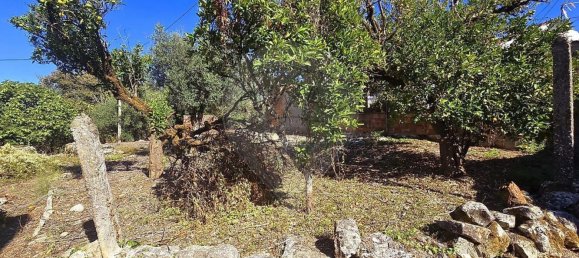 3 غرف نوم منزل في Ansiao, Portugal رقم 186835 21