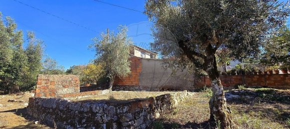 3 غرف نوم منزل في Ansiao, Portugal رقم 186835 23