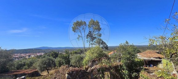 3 غرف نوم منزل في Ansiao, Portugal رقم 186835 29