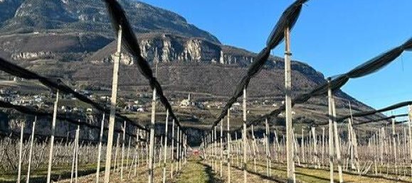  قطعة أرض في Trentino-Alto Adige, Italy 4700متر مربع رقم 218345 3