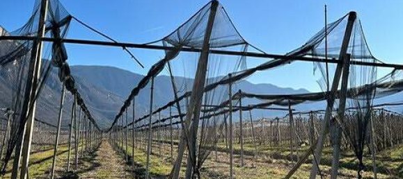  قطعة أرض في Trentino-Alto Adige, Italy 4700متر مربع رقم 218345 2