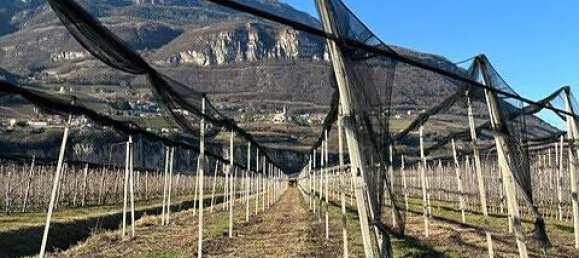  قطعة أرض في Trentino-Alto Adige, Italy 4700متر مربع رقم 218345 4