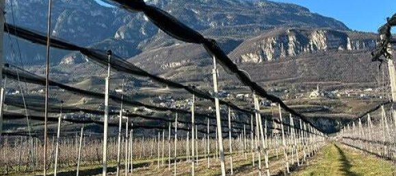  قطعة أرض في Trentino-Alto Adige, Italy 4700متر مربع رقم 218345 5