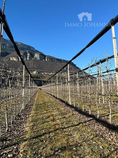  قطعة أرض في Trentino-Alto Adige, Italy 4700متر مربع رقم 218345