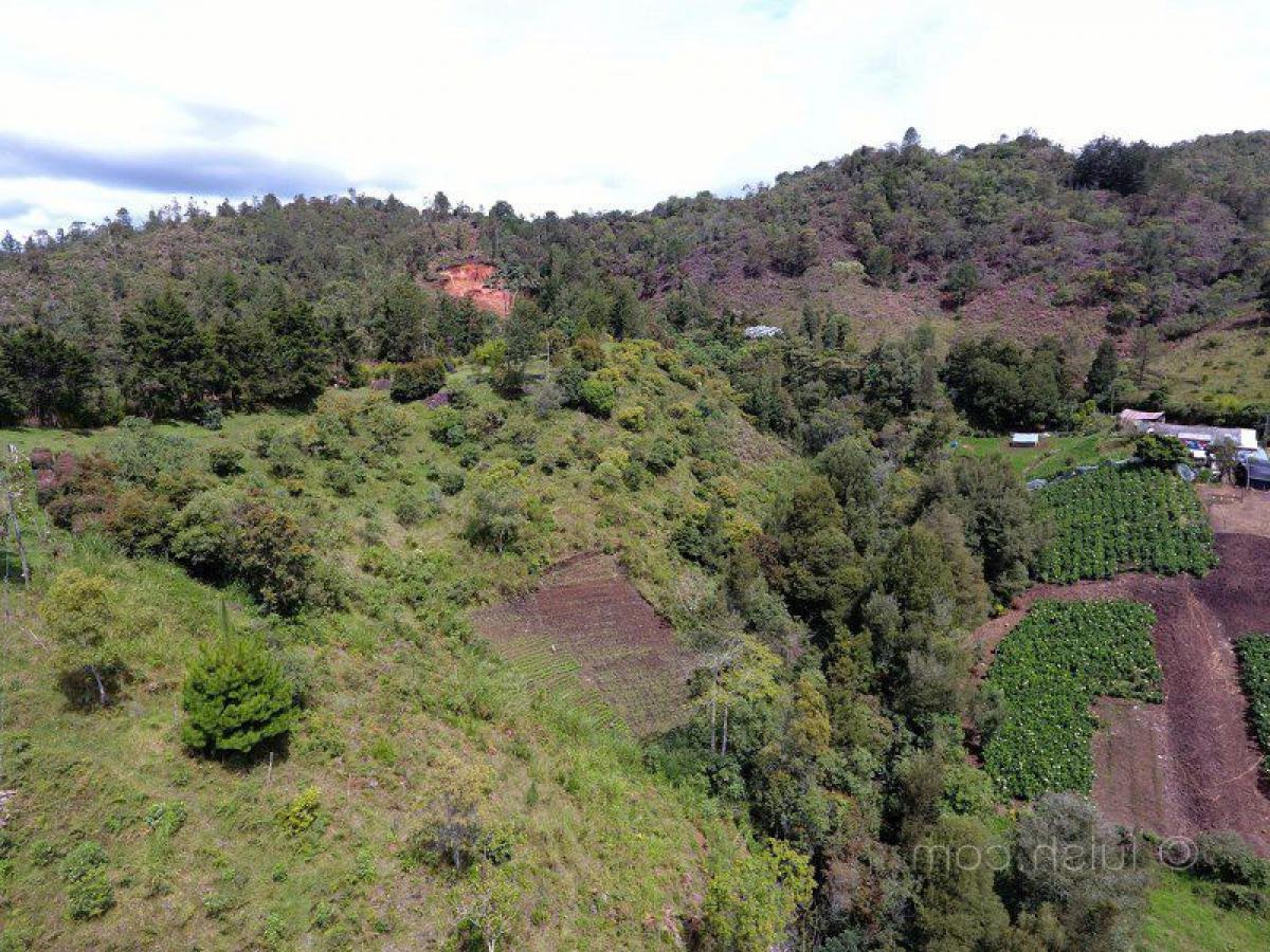 Grundstück in Antioquia, Colombia, Nr. 645