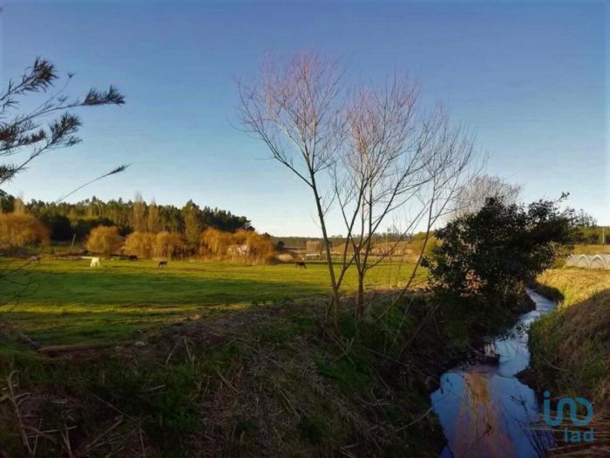 2 bedrooms House in Caldas da Rainha, Portugal No. 6194