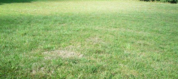  Land in Kumberg, Austria No. 137514 5