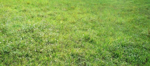  Land in Kumberg, Austria No. 137514 2