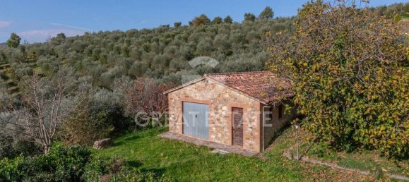 6 bedrooms House in San Venanzo, Italy No. 238565 40