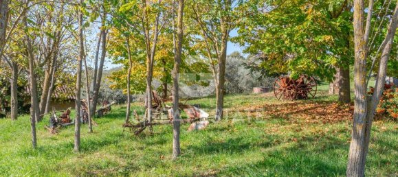 6 bedrooms House in San Venanzo, Italy No. 238565 37