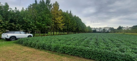 قطعة أرض في Villanova di Camposampiero, Italy رقم 338364 4