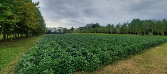 قطعة أرض في Villanova di Camposampiero, Italy رقم 338364 5