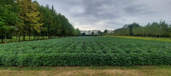 قطعة أرض في Villanova di Camposampiero, Italy رقم 338364 3