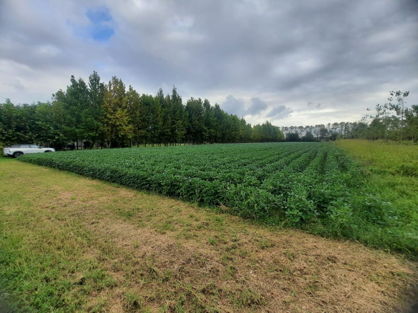  قطعة أرض في Villanova di Camposampiero, Italy رقم 338364