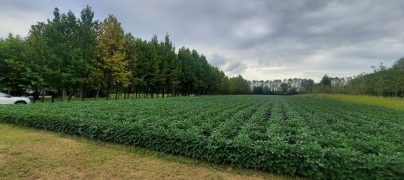 قطعة أرض في Villanova di Camposampiero, Italy رقم 338364 2