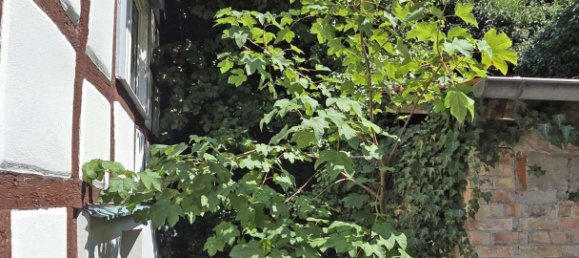 5 rooms House in Bergstrase, Germany No. 245688 5