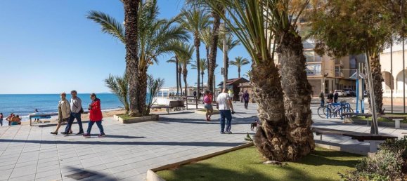 1 bedroom Apartment in Torrevieja, Spain No. 91042 19