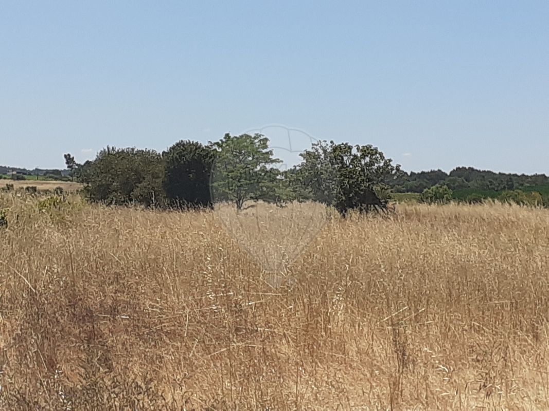  قطعة أرض في Alpiarca, Portugal 7500متر مربع رقم 62218