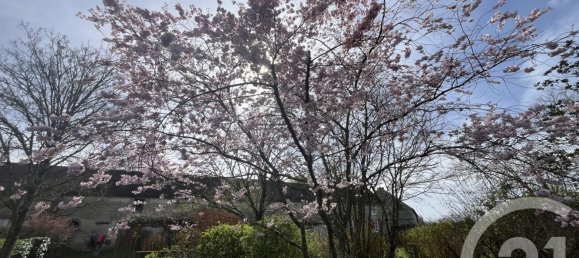 5 bedrooms House in Beaugency, France No. 85321 21