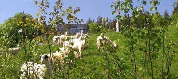 14 rooms House in Treffen am Ossiacher See, Austria No. 245004 24