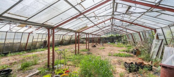 4 bedrooms Building in Vulkaneifel, Germany No. 185293 7