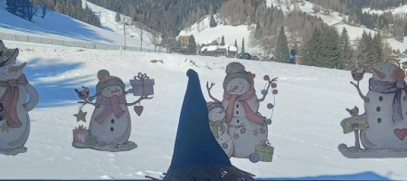 Дом с 4 спальнями в Бад Клайнкирхгайм, Австрия № 157530 13