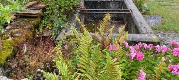 4 غرف نوم منزل في La Chapelle-en-Vercors, France رقم 286576 16