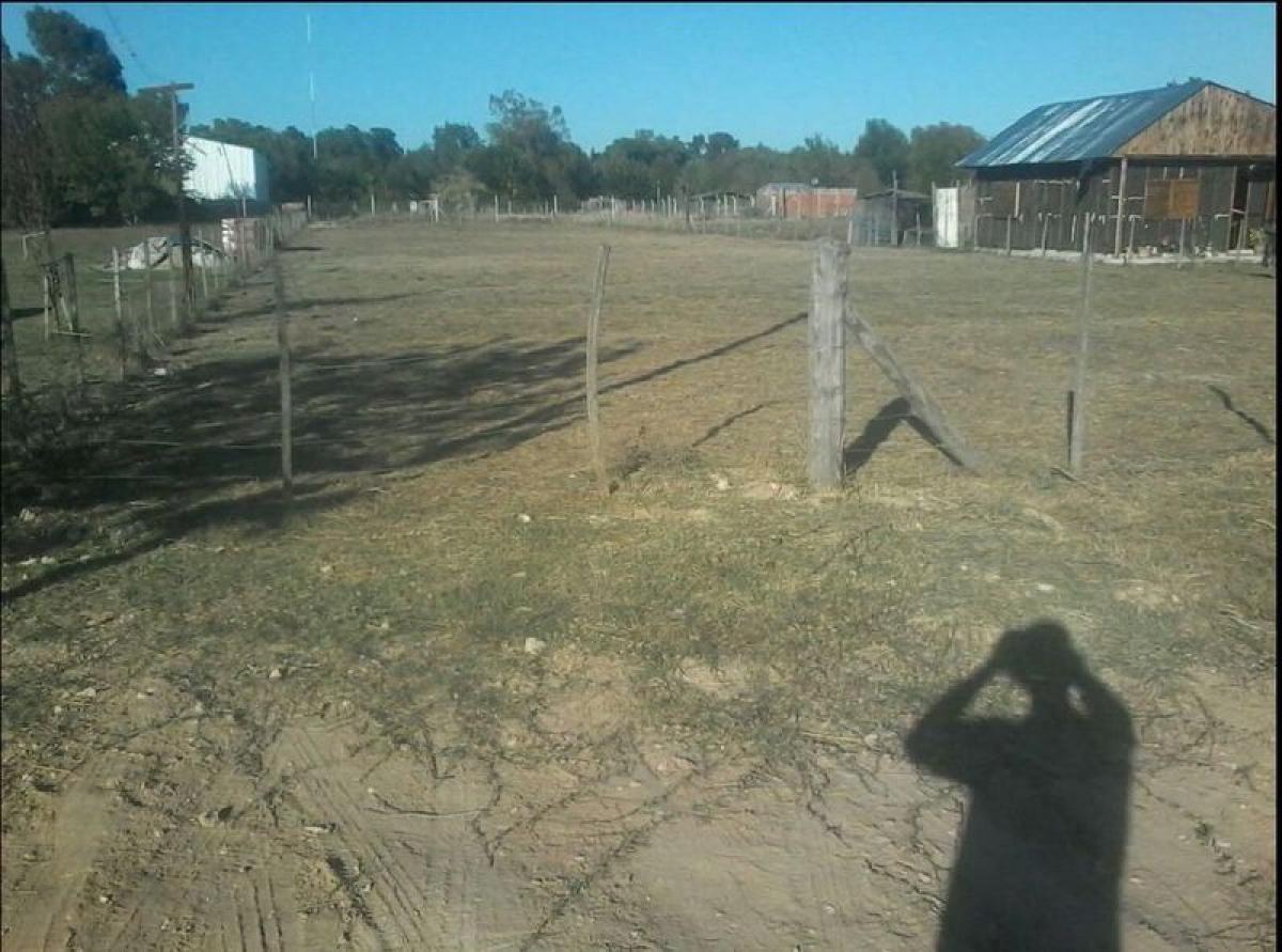  Land in Campo Creado, Argentina No. 39139