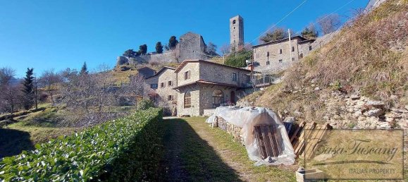 10 bedrooms House in Molazzana, Italy No. 697 5