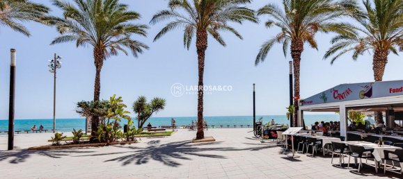 3 Schlafzimmer Wohnung in Torrevieja, Spain, Nr. 100170 35