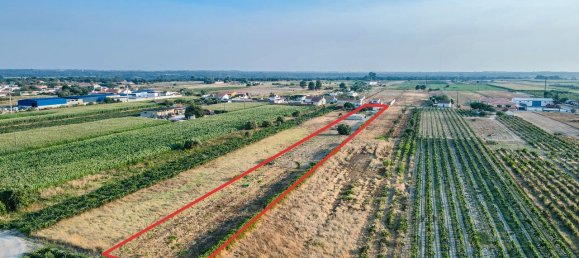 4 Schlafzimmer Haus in Benfica do Ribatejo, Portugal, Nr. 257978 18