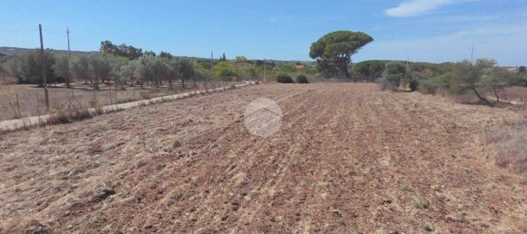 5000m² Land in Sorso, Italy No. 325044 2