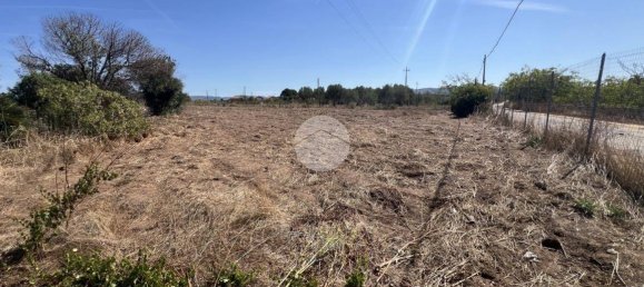 5000m² Land in Sorso, Italy No. 325044 8