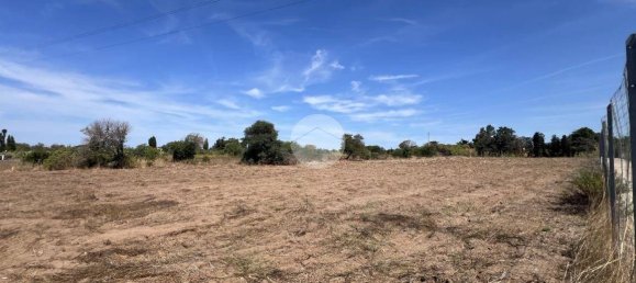 5000m² Land in Sorso, Italy No. 325044 7